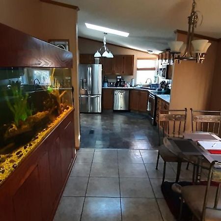 Private Pet Friendly Home Near Exotic Deer Farm Close To Pigeon Forge, Gatlinburg Tn Sevierville Exteriör bild