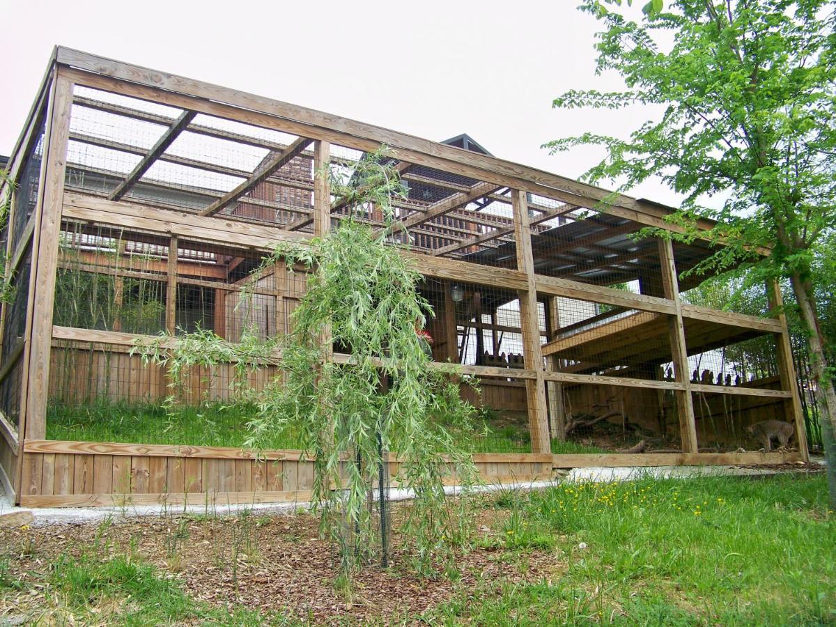 Private Pet Friendly Home Near Exotic Deer Farm Close To Pigeon Forge, Gatlinburg Tn Sevierville Exteriör bild